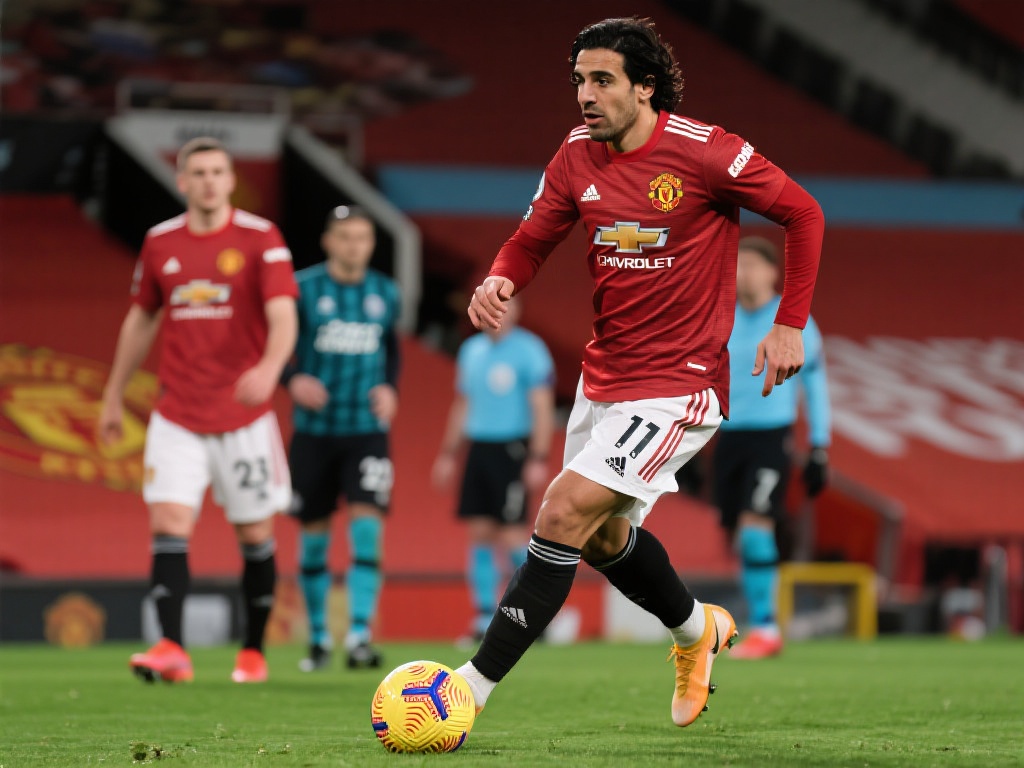 场馆的用户 场馆的用户