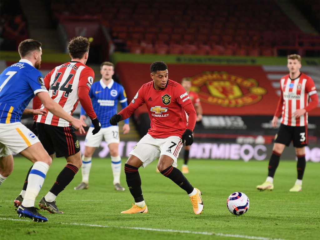 提供了多种 提供了多种